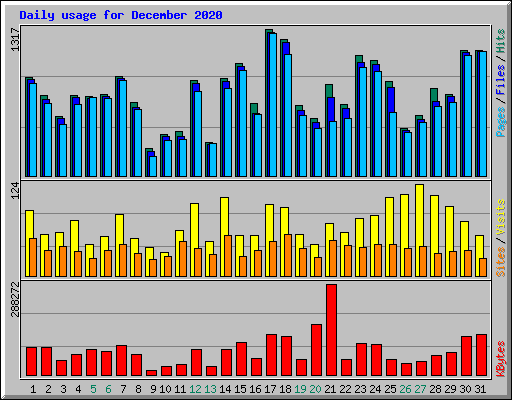 Daily usage for December 2020