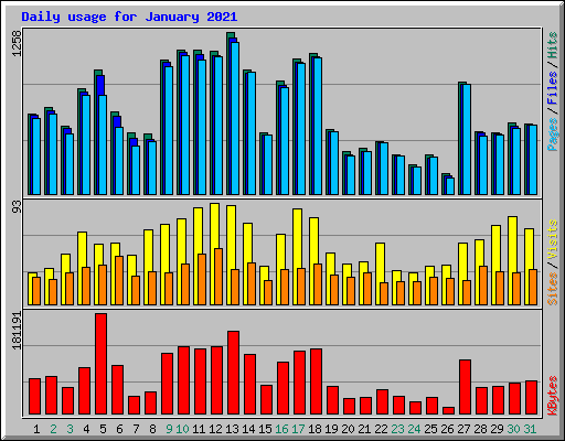 Daily usage for January 2021