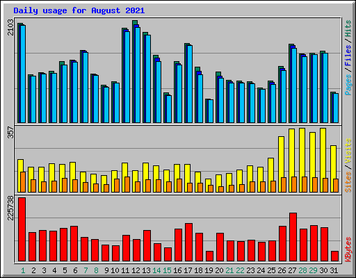 Daily usage for August 2021