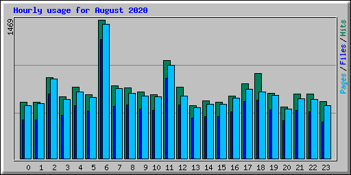 Hourly usage for August 2020