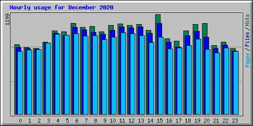 Hourly usage for December 2020