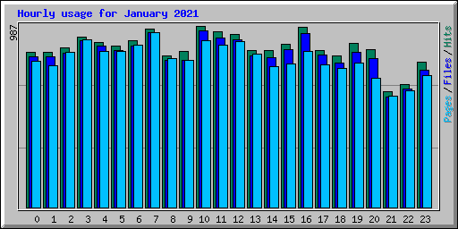 Hourly usage for January 2021