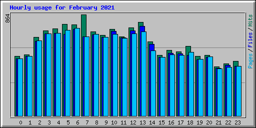 Hourly usage for February 2021