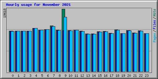 Hourly usage for November 2021