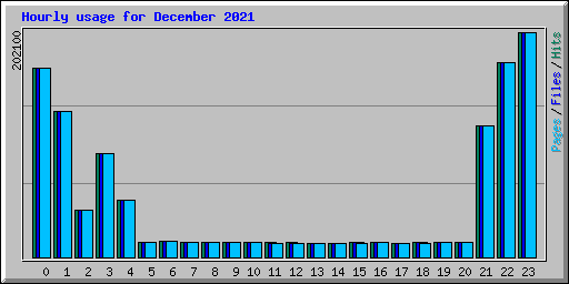 Hourly usage for December 2021