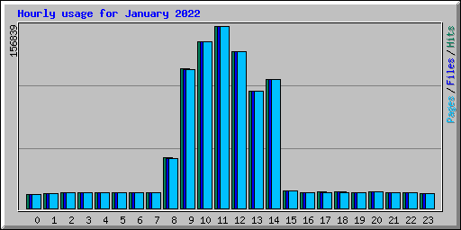 Hourly usage for January 2022