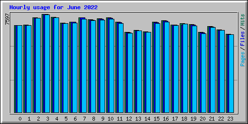 Hourly usage for June 2022